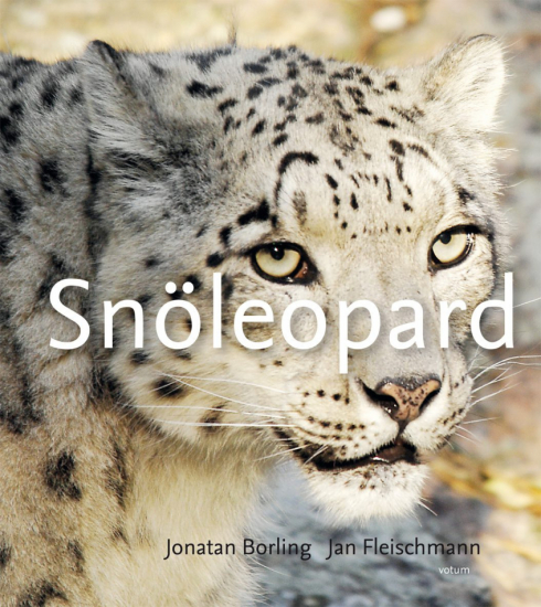 Snöleopard 1