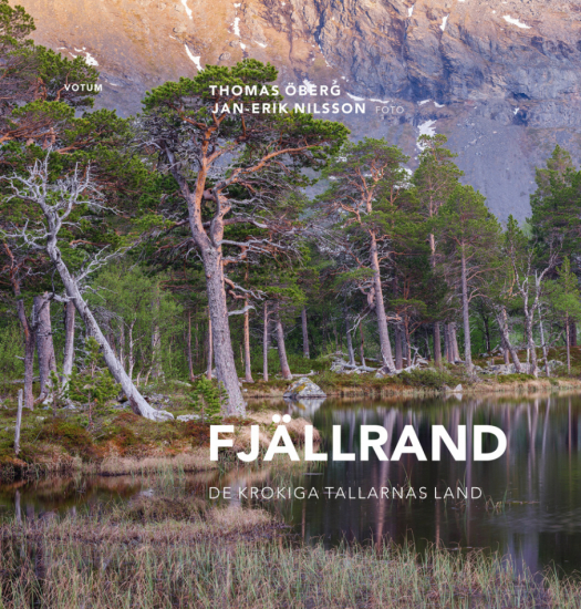 Fjällrand