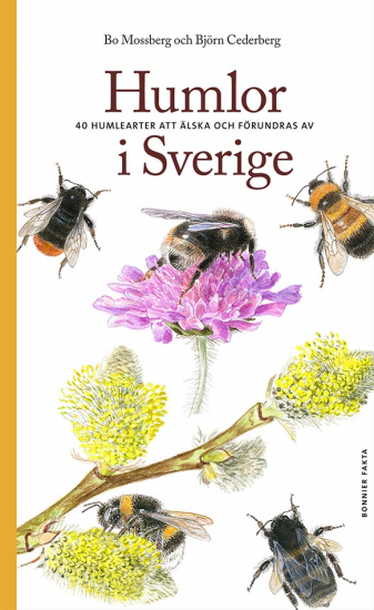 Humlor i Sverige i gruppen Böcker / Trädgård hos Familjekortet Sverige AB (10039_9789178871018)