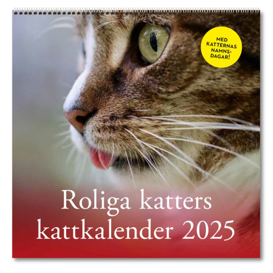 Roliga katters kattkalender 2025 i gruppen Kalender hos Familjekortet Sverige AB (10041_9789198909098)