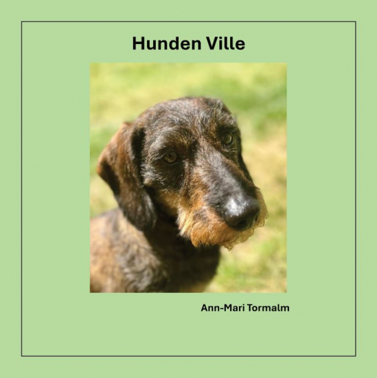 Hunden Ville i gruppen Böcker / Barnböcker hos Familjekortet Sverige AB (10074_9789189934047)