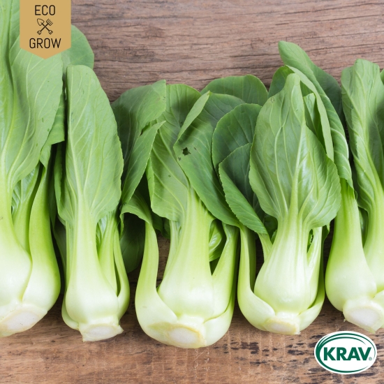 Pak Choi Bok Choy Green, Ekologiska Fröer